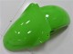 Vert Carénages ZX6R 2000-2002